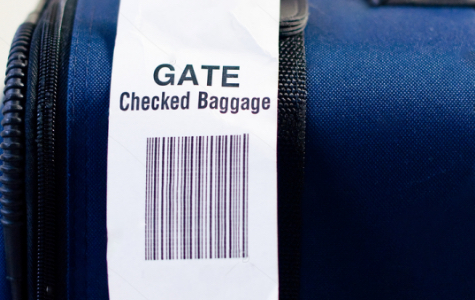 Baggage Check at Mangaluru Airport