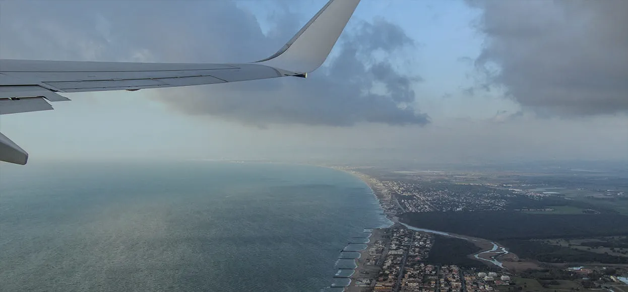 Offset Your Carbon Emissions